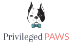 Privileged Paws Pet Care company logo