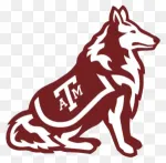 A.S.M. - Texas company logo