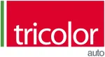 Tricolor Auto Group company logo