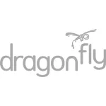 Dragonfly Delivery company logo