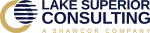 Lake Superior Consulting company logo