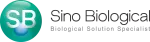 Sino Biological company logo