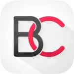 Bizz Comm Connect company logo