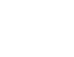 5ive Spice company logo