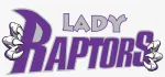 Houston Kings & Lady Raptors company logo