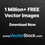 N&M Company company logo