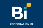 BI USA company logo